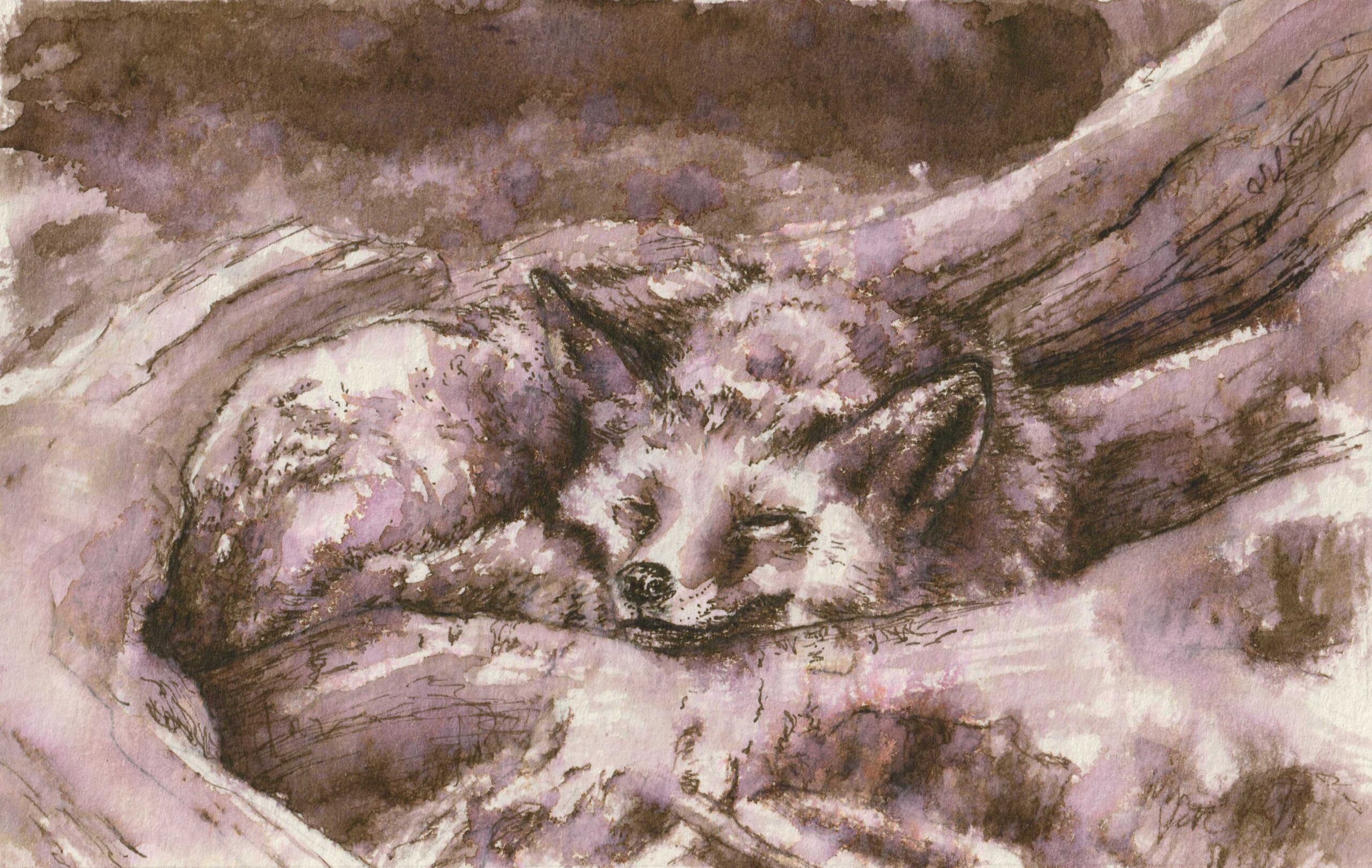 Fox